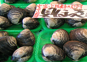 ほっき,ホッキ,北寄