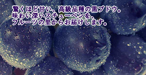 ぶどう