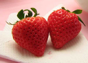 夏いちご 2L-L300g(20〜24粒)×2トレー（計600g）北海道産 夏イチゴ