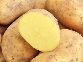 ながさき黄金（M〜Lサイズ混）10Kg 北海道産 じゃがいも 出荷時期 10