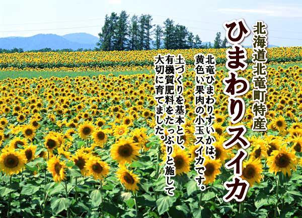スイカ,すいか,西瓜