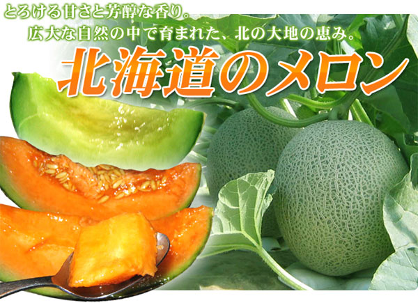 富良野メロン・龍の鈴メロンセット（秀1.6Kg×各1玉) 北海道産 めろん