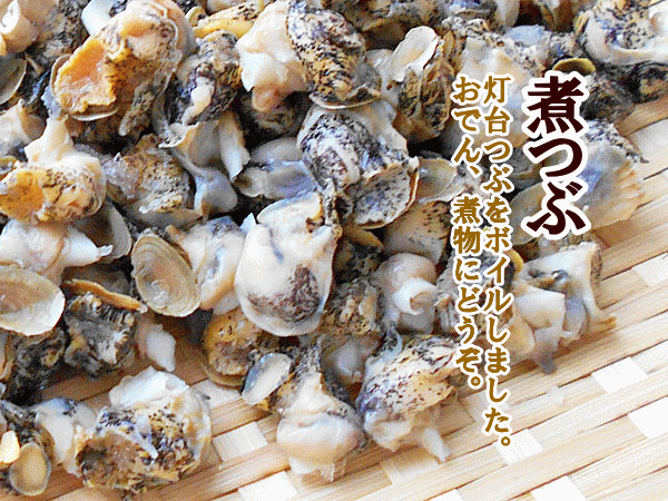 煮つぶ (灯台つぶむき身) 1kg 北海道産 ボイル冷凍 : nitubu1 : 旬をお