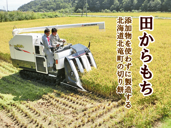 ほしのゆめ 田からもち Aセット(5種・計6パック) 北海道北竜産 餅 : 旬