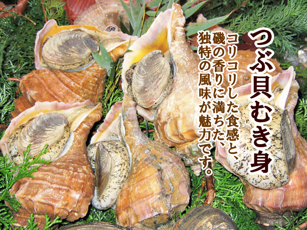 つぶ貝むき身・生食用 1Kg（お刺身用むきつぶ） : 旬をお