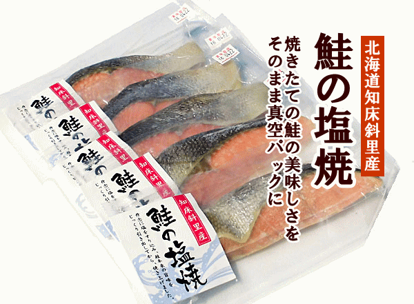 鮭,サケ,さけ
