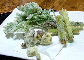 山うど (天然) 1Kg 北海道産 山ウド 出荷時期：5月 : 旬をお取り寄せ