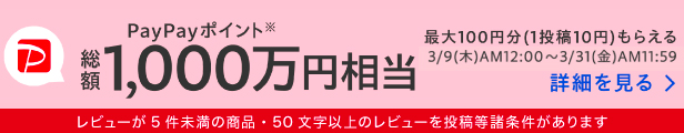 レビュー