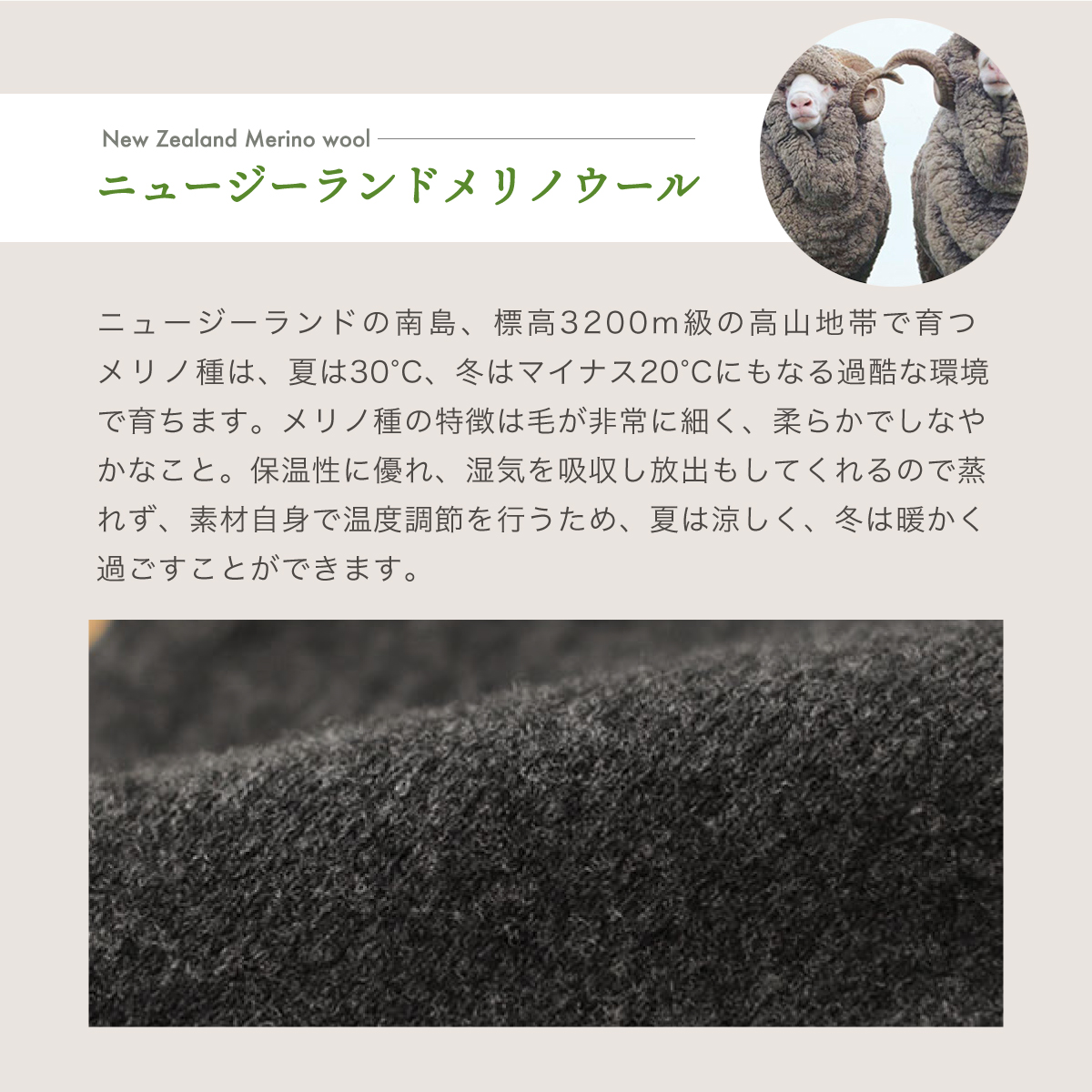 クィーンウールシルク無縫製 腹巻スパッツ : シルクふぁみりぃ Yahoo