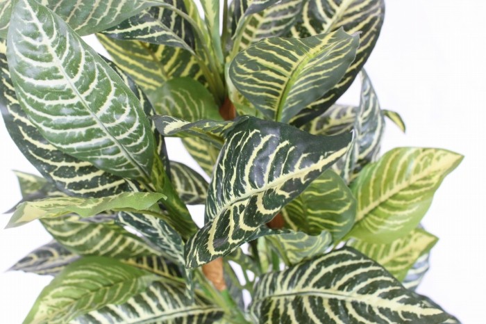 造花 観葉植物 リアルタッチゼブラの鉢植え60 フ2876 CT触媒