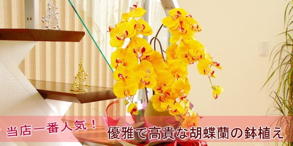 シルクフラワーの山久ヤフー店 - Yahoo!ショッピング