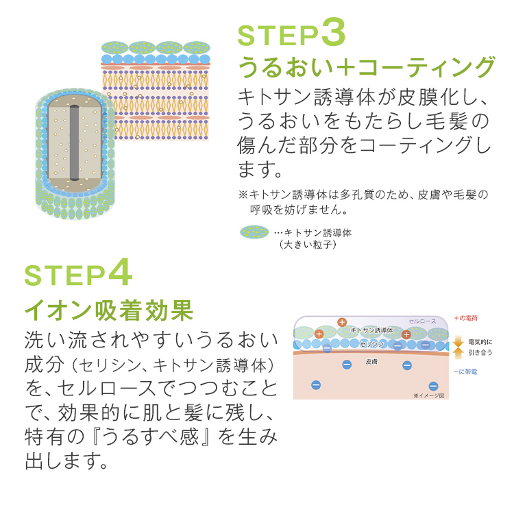 みどりまゆとは１