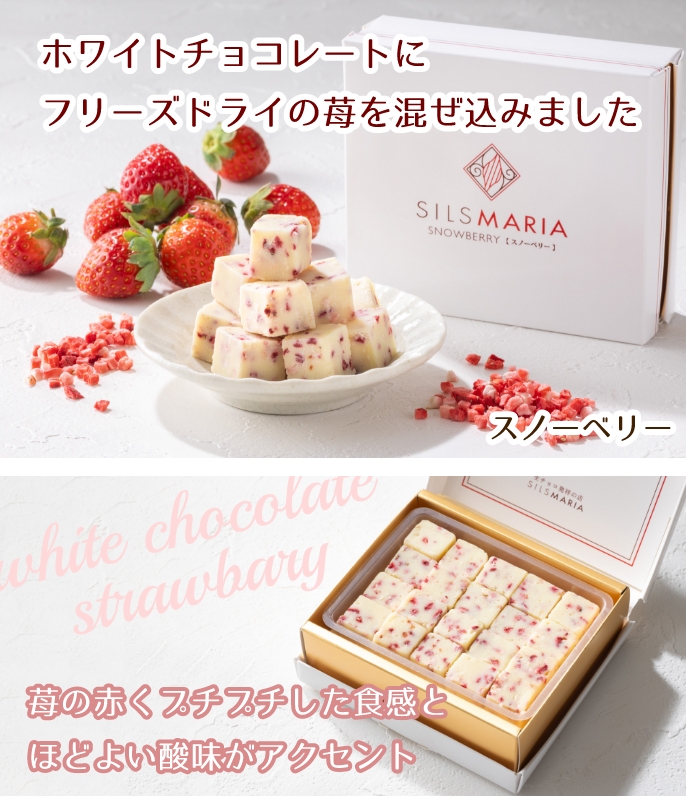 スノーベリー（20粒入り）☆【生チョコ発祥の店シルスマリア】 : 001