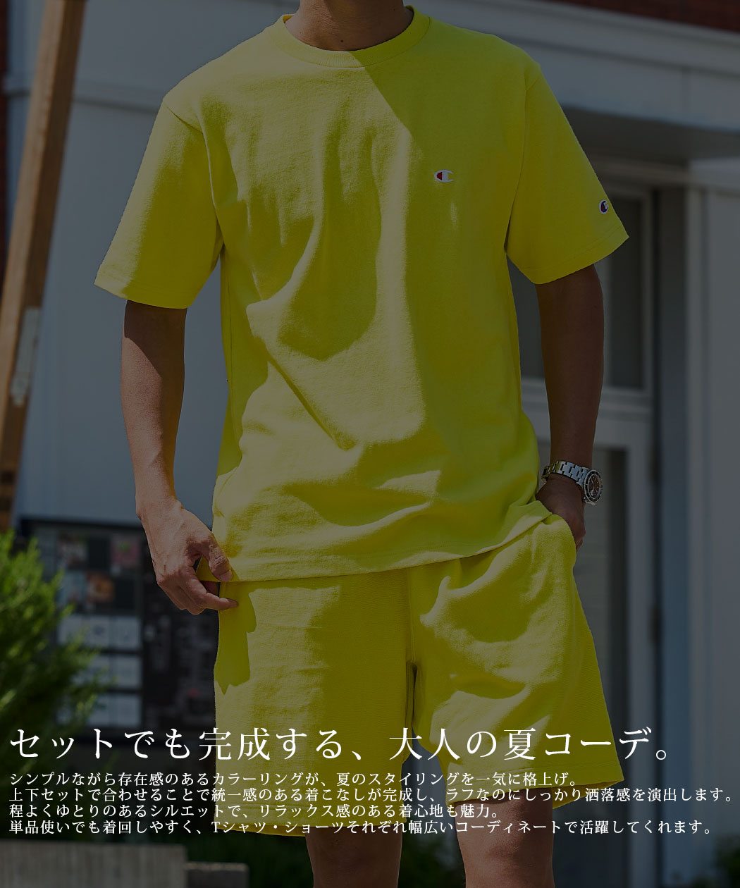 Champion（チャンピオン） Tシャツ メンズ 半袖 綿100% 無地 ロゴ 刺繍