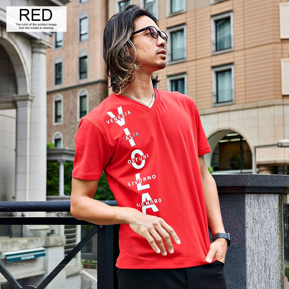 VIOLA Tシャツ メンズ 半袖 ブランド ヴィオラ 綿 Vネック ジェル