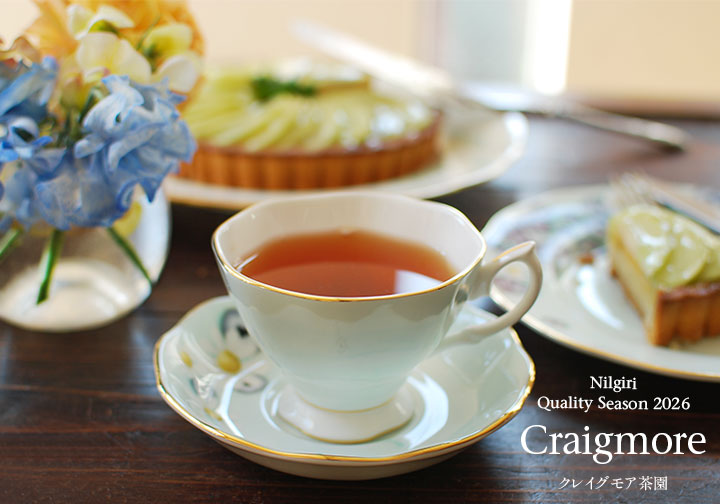 ニルギリ・クオリティーシーズン