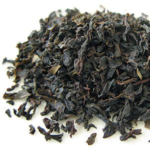 ニルギリ・クオリティーシーズン