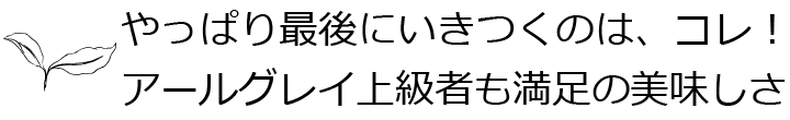 やっぱり最後にいきつくのはコレ