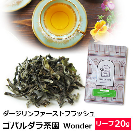 Yahoo! Yahoo!ショッピング(ヤフー ショッピング)紅茶 茶葉 ダージリン ファーストフラッシュ 2024年 ゴパルダラ茶園 Wonder 20g