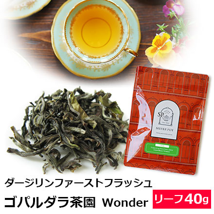 紅茶 茶葉 ダージリン ファーストフラッシュ 2024年 ゴパルダラ茶園 Wonder 40g｜silverpot-tea
