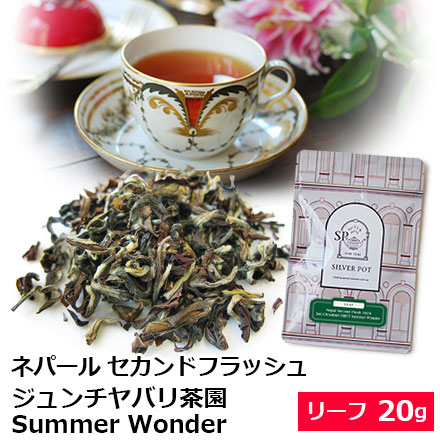 Yahoo! Yahoo!ショッピング(ヤフー ショッピング)紅茶 茶葉 ネパール セカンドフラッシュ 2024年 ジュンチヤバリ茶園 HRHT Summer Wonder 20g / 夏摘み