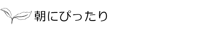 朝にぴったり、メープルティー