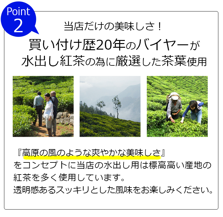 水出し紅茶用ティーバッグ