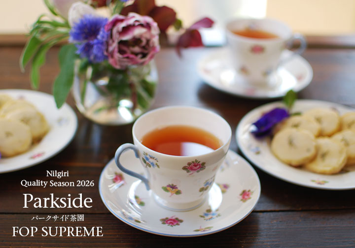 ニルギリ・クオリティーシーズン