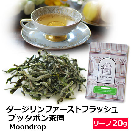 紅茶 茶葉 ダージリン ファーストフラッシュ 2024年 プッタボン茶園 Moondrop 20g / 春摘み おいしいおすすめ 高級ダージリンティー｜silverpot-tea