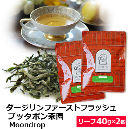 Yahoo! Yahoo!ショッピング(ヤフー ショッピング)紅茶 茶葉 お得なおまとめ買いセット ダージリン ファーストフラッシュ 2024年 プッタボン茶園 Moondrop （40g×2個） / 春摘み 高級ダージリンティー