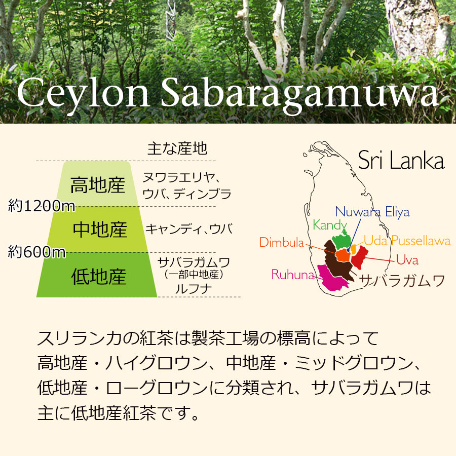 紅茶 茶葉 お得なおまとめ買いセット セイロンティー サバラガムワ 