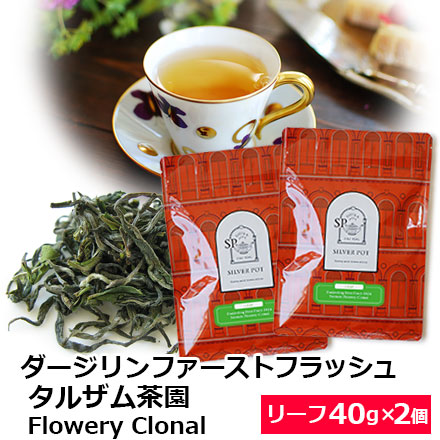 紅茶 茶葉 お得なおまとめ買いセット ダージリン ファーストフラッシュ 2024年 タルザム茶園 Flowery Clonal （40g×2個） / おいしいおすすめダージリンティー｜silverpot-tea