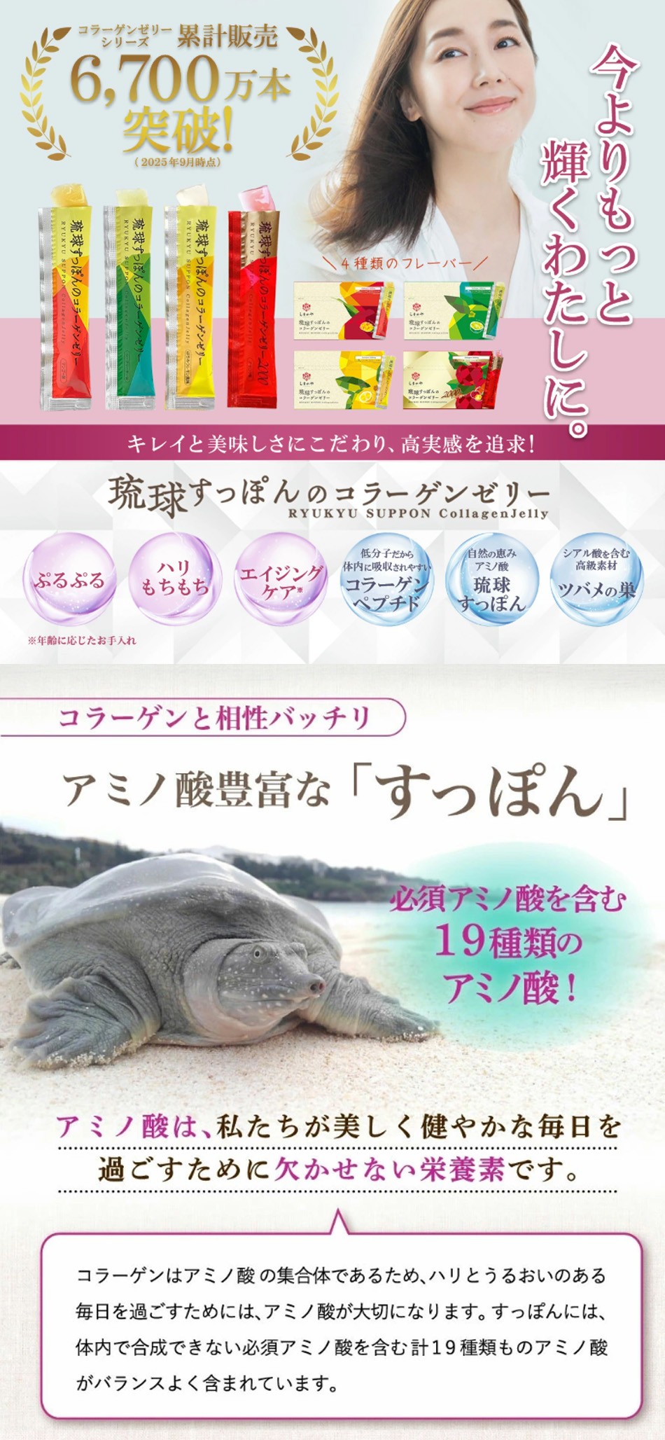 コラーゲン サプリ しまのや 公式 琉球すっぽんのコラーゲンゼリー 10g
