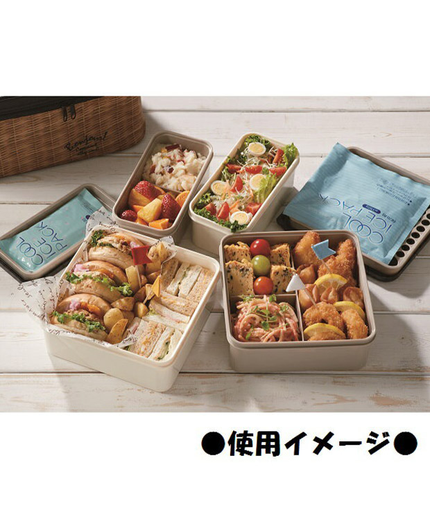 スケーター 行楽ランチセット ランチボックス 保冷バッグ お弁当箱 ピクニック 運動会 2段 保冷 保温 大容量 ファミリー 花見 かわいい キャラクター 保冷剤付き | スケーター | 11