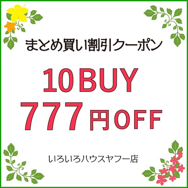 【10BUY 777円OFFクーポン♪】
