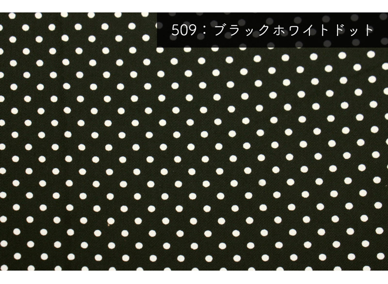 ブラックホワイトドット