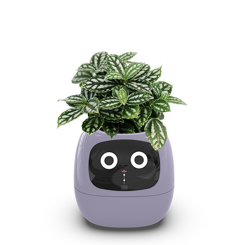 Ivyスマートプランター まるでペットみたい!?に植物を育成 Ivyスマートプランター まるでペットみたい!?に植物を育成