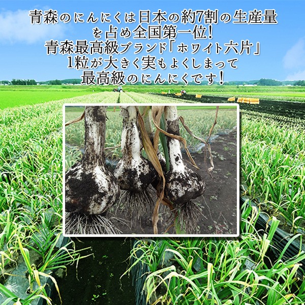 青森のホワイトろっぺん