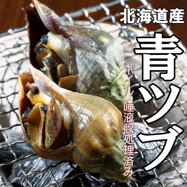 北海道　青ツブ