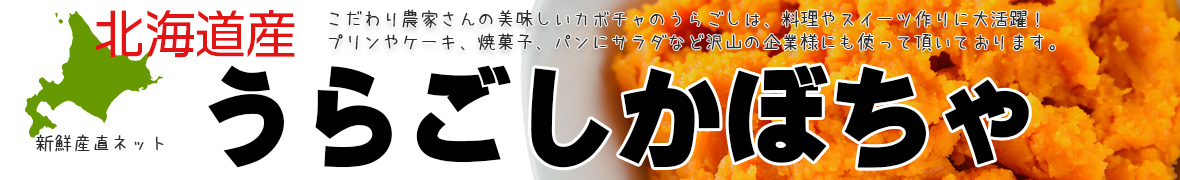タイトル画像
