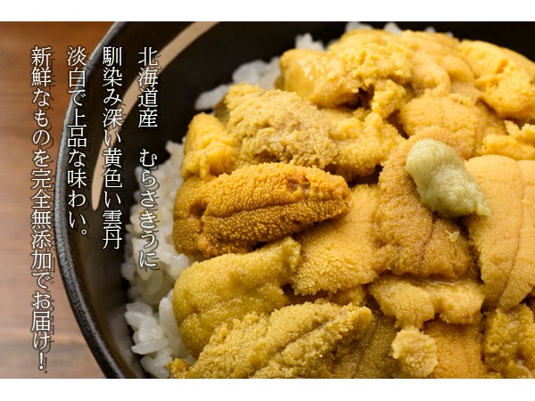 塩水生雲丹（むらさきうに）　北海道産　新鮮産直ネット