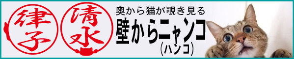 タイトル画像