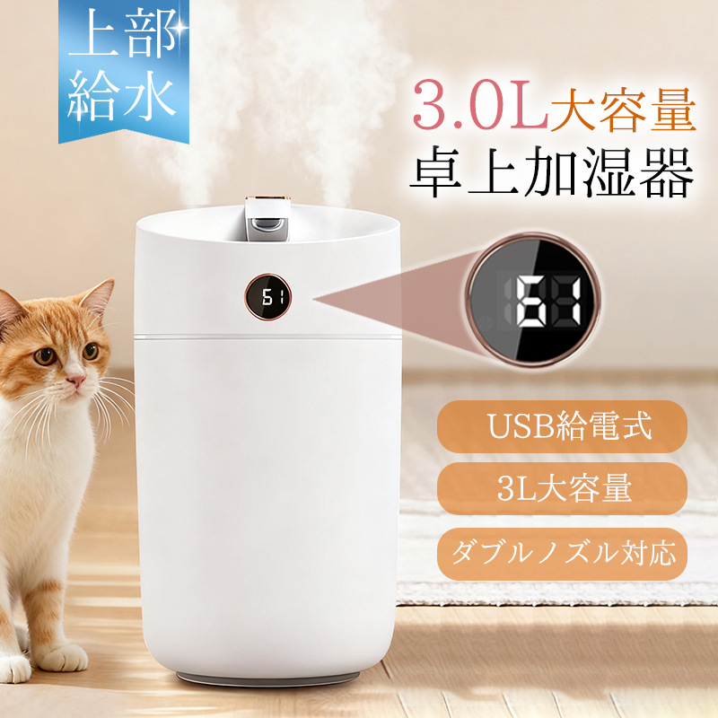 加湿器 大容量 3L 卓上 超音波式 卓上加湿器 かしつき ダブル噴霧 静音