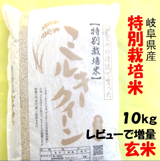 米 10kg 岐阜県産 271