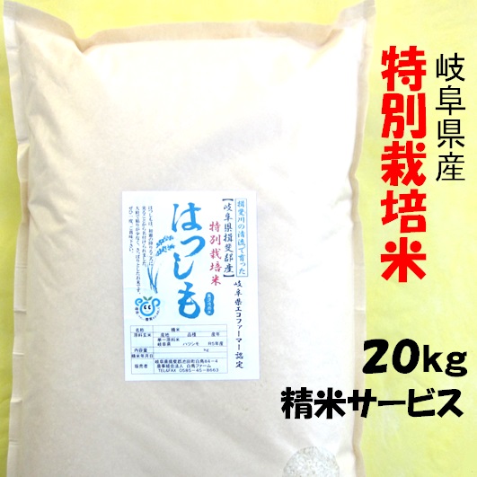 令和６年産 特別栽培米 岐阜県産 ハツシモ 玄米20Kg（10kg×2）分搗き可 【送料無料】北海道 沖縄 離島は追加送料