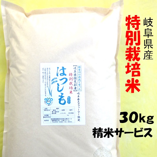 令和６年産 特別栽培米 岐阜県産 ハツシモ 玄米30Kg（10kg×3）分搗き可 【送料無料】北海道 沖縄 離島は追加送料