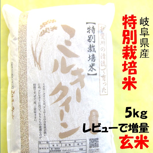 ハツシモ　令和6年　岐阜県産 ハツシモ 令和6年 岐阜県産 ハツシモ 令和6年 岐阜県産 【