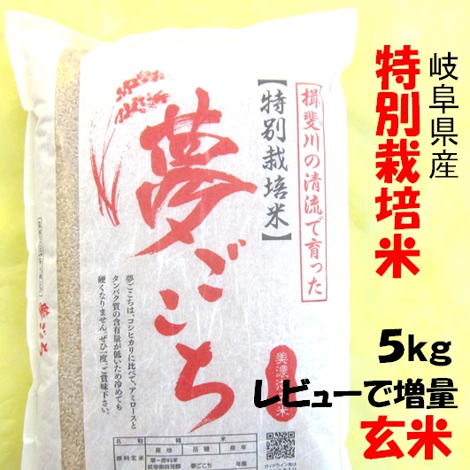 ハツシモ 令和7年産 お米 特別栽培米 岐阜県産 玄米10Kg（レビューで