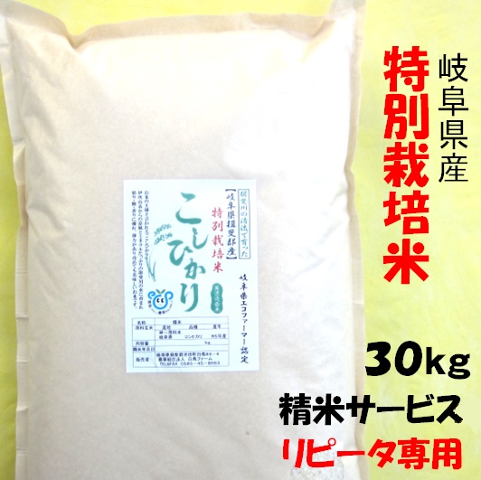 岐阜県産 コシヒカリの人気商品・通販・価格比較 - 価格.com