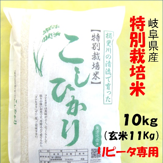 岐阜県産 コシヒカリの人気商品・通販・価格比較 - 価格.com